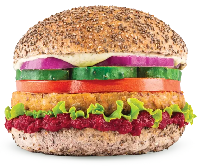 Zdravi veganski burger